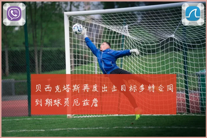 贝西克塔斯再度出击目标多特合同到期球员厄兹詹