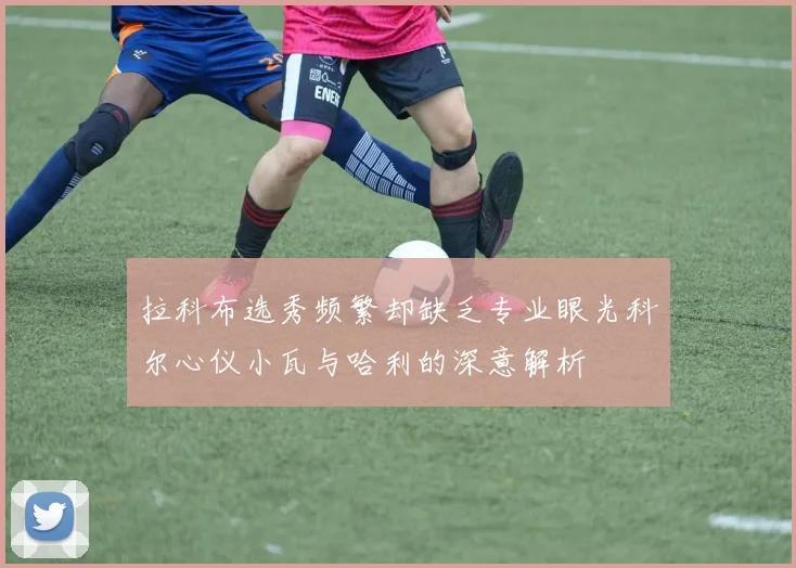 拉科布选秀频繁却缺乏专业眼光科尔心仪小瓦与哈利的深意解析